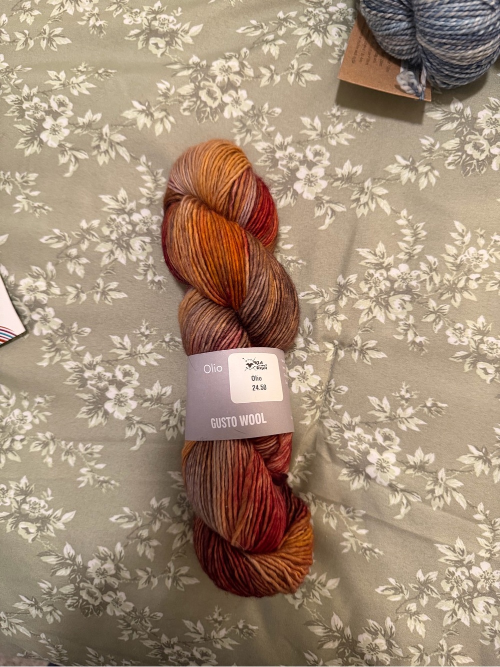 Gusto Wool Olio Hand-Dyed Multicolor Wool Yarn